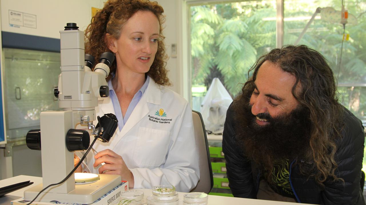Costa Georgiadis (right), with seed scientist Dr Gemma Hoyle-Farrell, says seed banks are crucial.