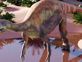 Issi saaneq was a plant-eating sauropod dinosaur that lived 214 million years ago in Greenland, which was warmer during the Triassic Period than today. It is a predecessor of some of the largest terrestrial animals ever to exist. (Victor Beccari)