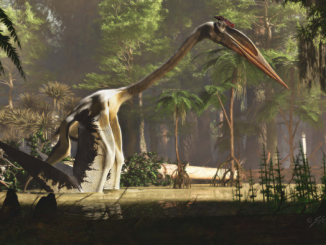 An artist's concept shows that 70 million years ago, Quetzalcoatlus northropi and related species of pterosaurs ranged in the ancient forests of Texas. Scientists have discovered how it moved on land and could leap into the air and take flight.  (James Kuether)
