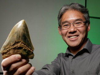 Paleobiologist Kenshu Shimada holds a fossilized megalodon tooth. (DePaul University)