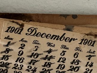 Picture of an old calendar from 1901 that was obtained by Chelsey Brown, 29, from New York, in 2022, undated photo. Ms. Brown stated that she researched the diary on MyHeritage.com. (@chelseyibrown/Zenger)