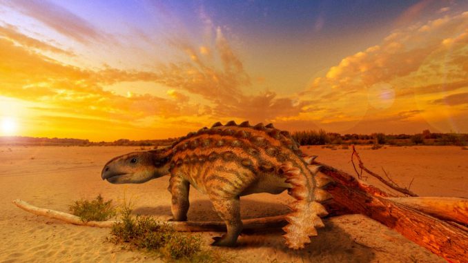 An artist's reconstruction of the appearance of the new species of armored dinosaur, Stegouros elengassen, found in the Rio de las Chinas valley in Chilean Patagonia. (Luis Perez Lopez/Zenger)