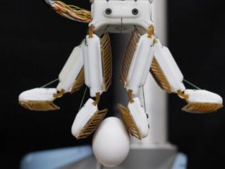 The robotic farmHand was developed at Stanford University's biomimetics lab and incorporates fingertips and an adhesive inspired by acrobatic gecko lizards, which can climb vertical surfaces unaided by liquids or surface tension. (Biomimetics and Dextrous Manipulation Lab, Stanford University)