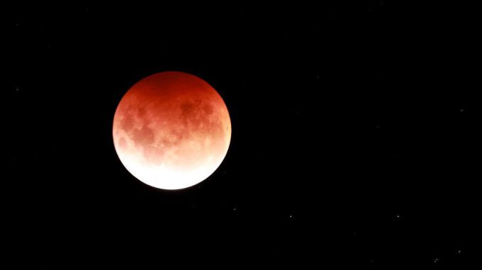 Full moons have been found to have an effect on sharks, with a higher incidence of shark attacks being recorded during these lunar periods.  (Phil Walter/Getty Images)