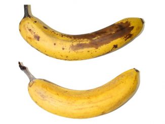 Two 10-day-old bananas; the bottom one is protected by a cellulose coating developed by the Empa research institute in Switzerland. (Manifesto Films, Lidl Schweiz, Empa/Zenger)