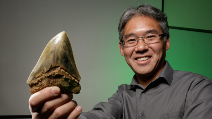 Paleobiologist Kenshu Shimada holds a fossilized megalodon tooth. (DePaul University)