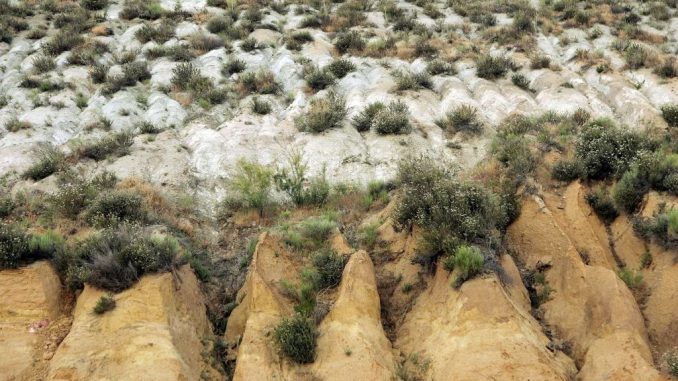 The San Andreas Fault, visible as the line between grey metamorphic quartz monzonite and brown sedimentary sandstone and siltstone, is seen at Tejon Pass on June 30, 2006, near Gorman, California. The rift of tan and brown layers indicates the site of the surface rupture of a magnitude-8.0 earthquake in 1857 that was the largest quake in California?s recorded history. (David McNew/Getty Images)