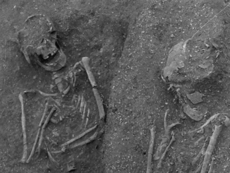Arapouco 1962. Skeleton 3A is visible on the left of the photograph, lying on the right side of skeleton 2A. These burials illustrate several traits common to the Sado Valley burials during the Mesolithic period. (Peyroteo-Stjerna et al., 2022/European Journal of Archaeology)