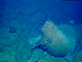 The SS Bloody Marsh, which completed construction in 1943, was recently found when the NOAA was mapping the ocean floor off the coast of South Carolina. (NOAA Ocean Exploration)