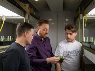 Rob Ness, Marc Johnson and their PhD student James Santangelo led a study, supported by GLUE, to examine the effects that humans have had on the evolution of plants and animals. Almost 300 scientists from around the world coordinated on the project. (Zenger News)