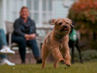 Dog owners are ‘happier’ than those without a four-legged companion, according to a report. (Jon Mills/Zenger)
