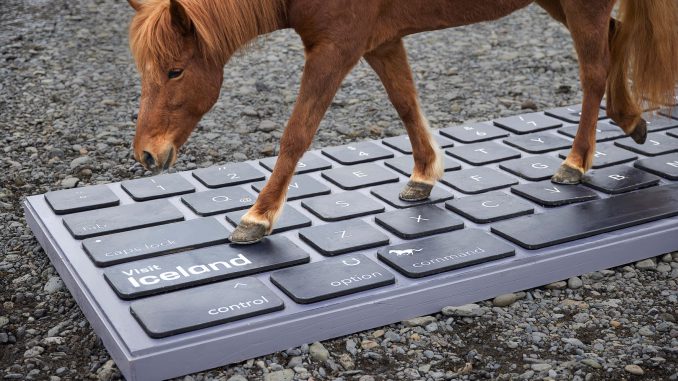 Iceland has trotted out a service that lets horses reply to work emails when you're on holiday. (Dean Murray/Zenger)
