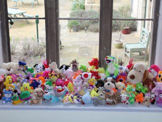 An OAP couple have revealed their haul of 375 cuddly toys won at seaside arcades - and now have too many to fit in their home. (Matthew Newby/Zenger)