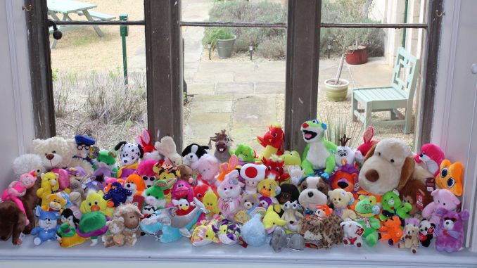 An OAP couple have revealed their haul of 375 cuddly toys won at seaside arcades - and now have too many to fit in their home. (Matthew Newby/Zenger)