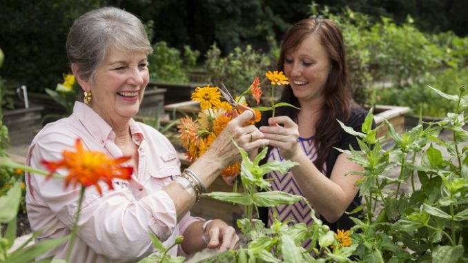 Gardening can lift your mood even if you've never done it before and have no mental health issues, a new study has revealed. (Simon Galloway,SWSN/Zenger)