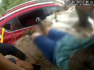 Rescue of a motorist stranded in their car during a flood, on Thursday, July 28, 2022, in Apache Junction, Arizona, USA. They were unable to retrieve her dog from the water.  (@ApacheJunctionPD/Zenger)