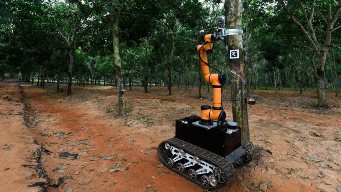 VIA XINHUA NEWS AGENCYAn autonomous rubber-tapping robot works at a rubber plantation attached to a natural rubber industry company in south China's Hainan Province, Nov. 19, 2019. The robot recently started an on-site rubber tapping trial run with an aim of enhancing efficiency and automation of rubber production. (Photo by Yang Guanyu/Xinhua via Getty Images)