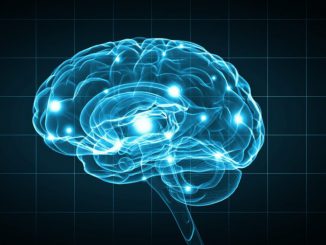Microchips that merge the brain with machines to treat paralyzed patients are safe, according to new research. The tiny devices are implanted after a stroke or spinal cord injury to stimulate activity in the nervous system. ESB PROFESSIONAL/METANEWS