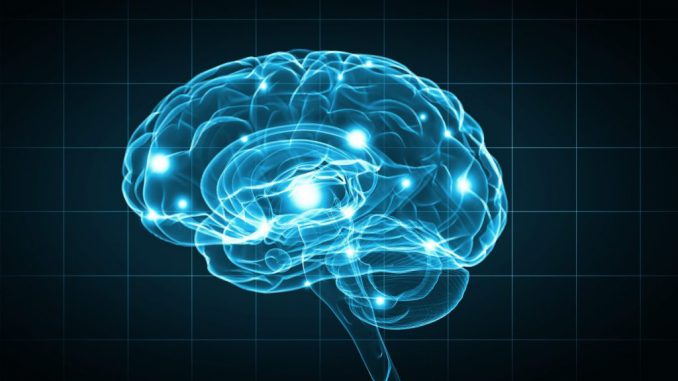 Microchips that merge the brain with machines to treat paralyzed patients are safe, according to new research. The tiny devices are implanted after a stroke or spinal cord injury to stimulate activity in the nervous system. ESB PROFESSIONAL/METANEWS