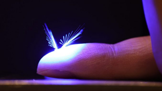 The tiny robot sits like a winged insect before spreading its wings and flying in response to light. Researchers have developed a polymer-assembly robot that flies by wind and is controlled by light. JIANFENG YANG/SWNS TALKER