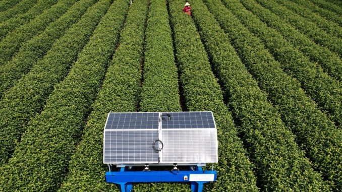 HANGZHOU, CHINA - MARCH 28: An AI tea harvesting robot picks tea leaves at a LongJing tea garden on March 28, 2023 in Hangzhou, Zhejiang Province of China.Managing director, Jonathon Jones OBE, 51, said: It’s been a long time brewing, the world's first robotic tea harvester has picking this week, powered by solar panels.Teabot is a breakthrough for the whole tea industry around the world. It is the first driverless tea picker with onboard solar power. PHOTO BY LONG WEI/GETTY IMAGES