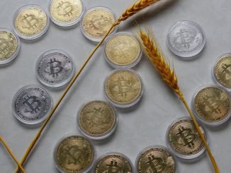 Bitcoin physical commemorative coin, June 22, 2023, Yichang, Hubei, China. Mantle Network, anstrong /strongEthereumstrong /strong(CRYPTO: a href=https://www.Zenger News.com/quote/eth/usdETH/a) layer-2 network, is voting to form a $200 million ecosystem fund. PHOTO BY COSTFOTO/GETTY IMAGES 