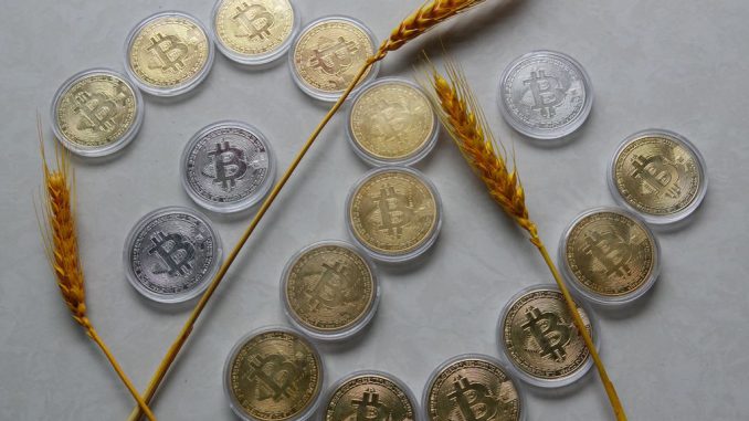 Bitcoin physical commemorative coin, June 22, 2023, Yichang, Hubei, China. Mantle Network, anstrong /strongEthereumstrong /strong(CRYPTO: a href=https://www.Zenger News.com/quote/eth/usdETH/a) layer-2 network, is voting to form a $200 million ecosystem fund. PHOTO BY COSTFOTO/GETTY IMAGES 