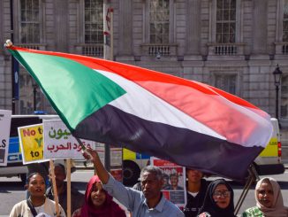 A protester waves a Sudanese flag during a demonstration. International media analyst Mekki Elmograbi said that regarding the war in Israel, Sudan is content to support mediation efforts to calm the situation. VUK VALCIC/SOPA IMAGES/LIGHT ROCKET VIA GETTY IMAGES.