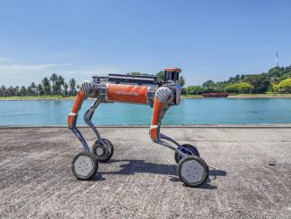 A Swiss-Mile robot can walk, drive, and stand on two legs. SWISS-MILE VIA SWNS.